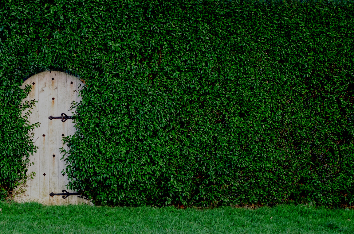 Green Bushed Wall and a Hidden Door